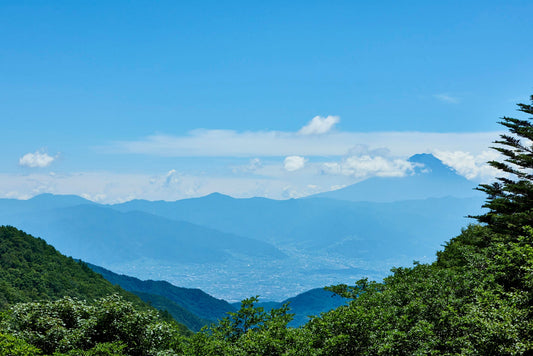 山梨県の暑い夏餅屋和平